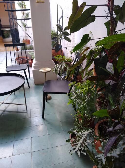 Casa Cuauhtemoc Villa Guadalajara Eksteriør billede