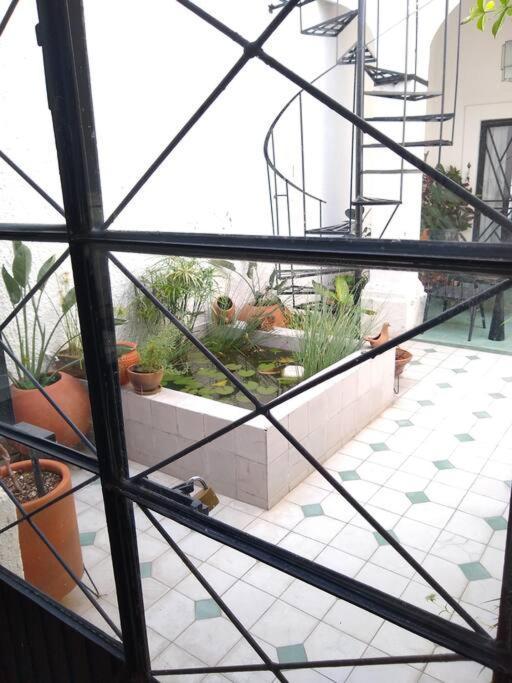 Casa Cuauhtemoc Villa Guadalajara Eksteriør billede
