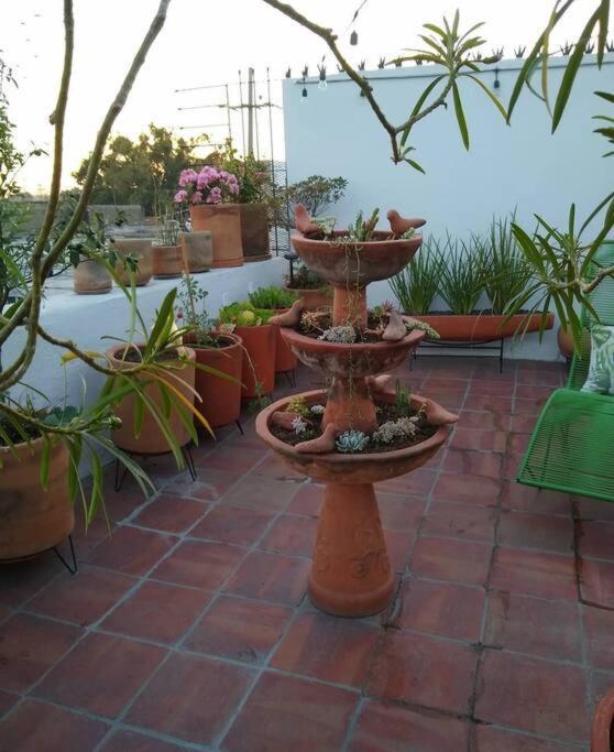 Casa Cuauhtemoc Villa Guadalajara Eksteriør billede