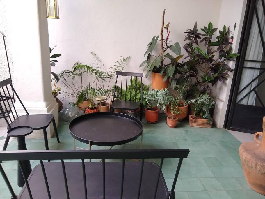 Casa Cuauhtemoc Villa Guadalajara Eksteriør billede
